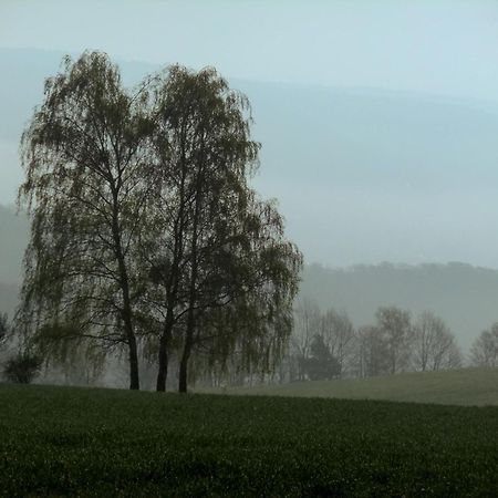 Landhotel Windlicht Krombach  Zewnętrze zdjęcie