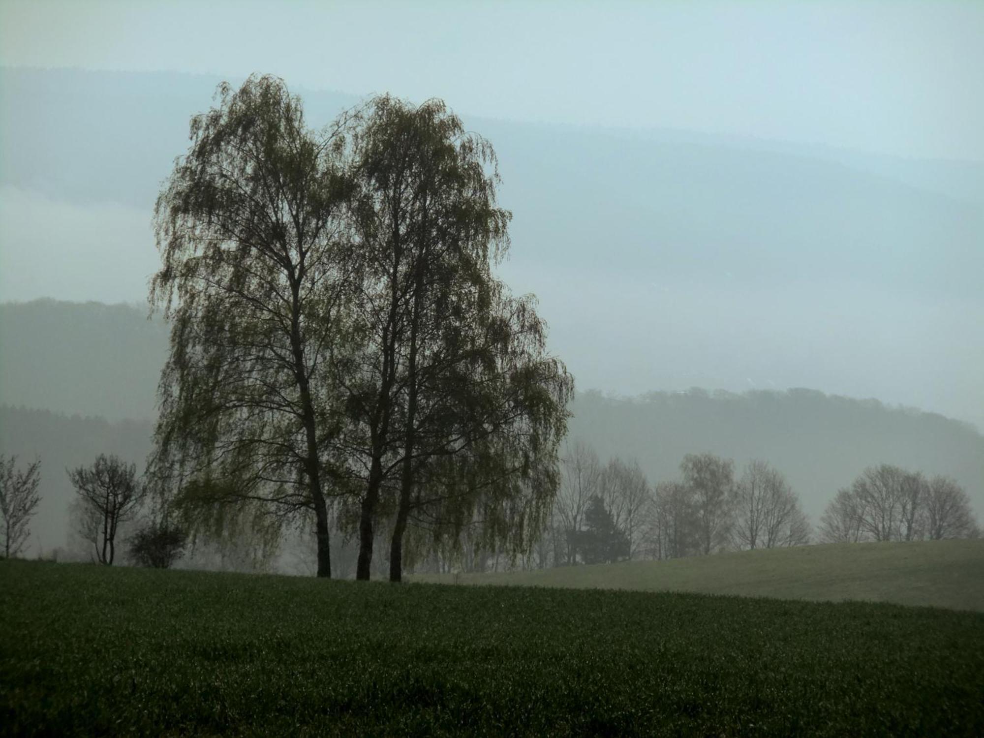 Landhotel Windlicht Krombach  Zewnętrze zdjęcie