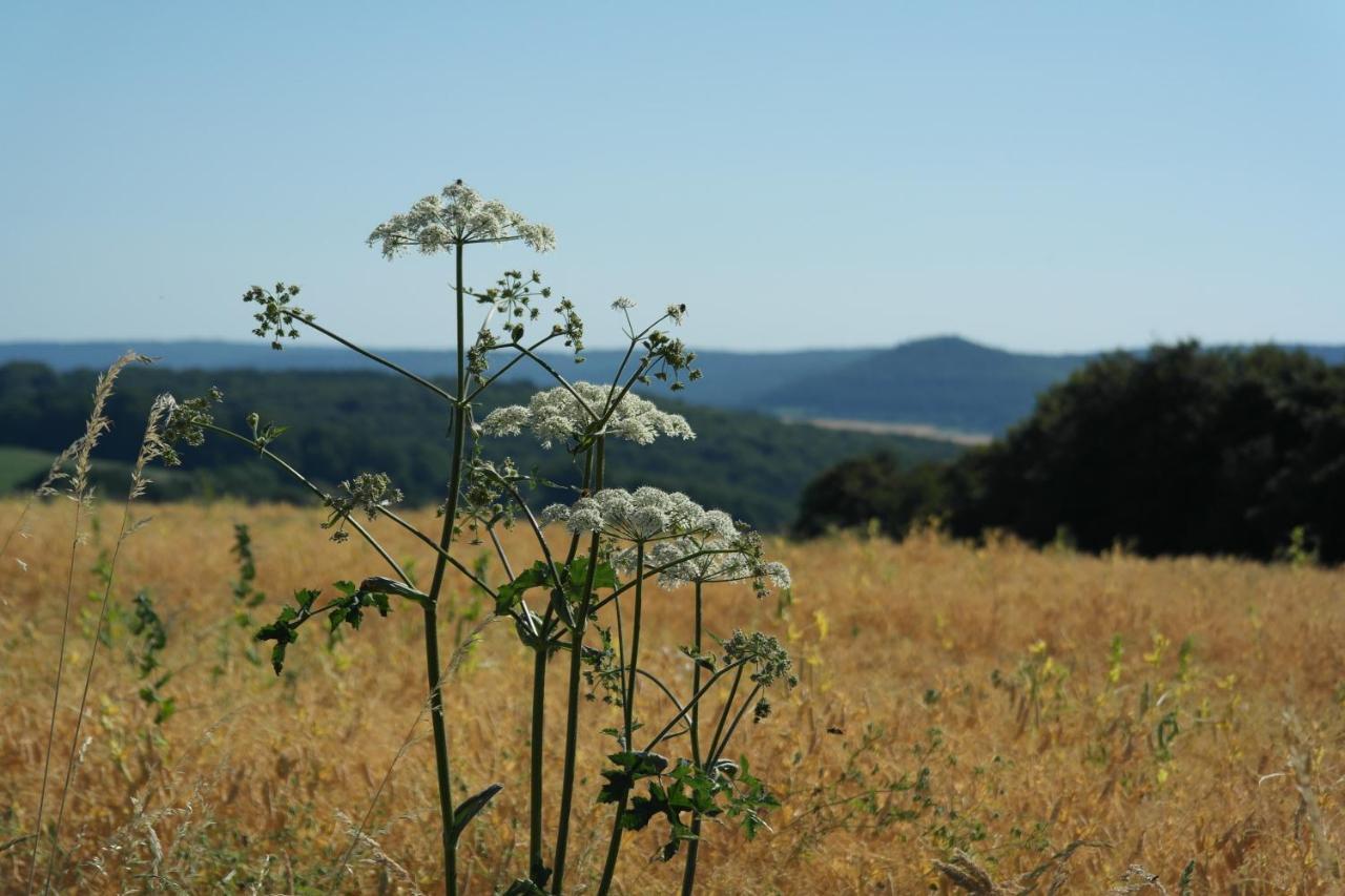 Landhotel Windlicht Krombach  Zewnętrze zdjęcie